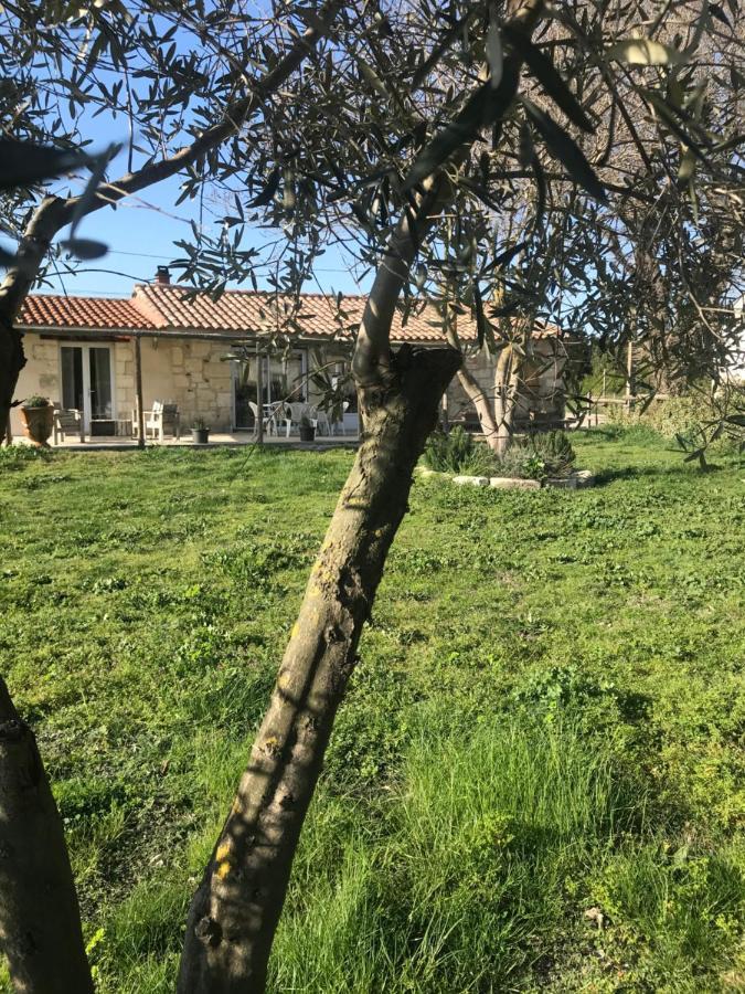 Mazet En Camargue Villa Arles Esterno foto